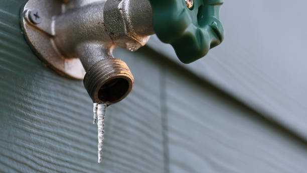 Best Water Leak Repair  in Flemingsburg, KY